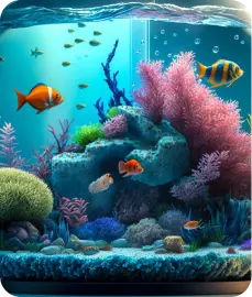 Aquarium